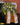 Sargschmuck 2