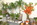 Blumenhaus innen Pflanzen