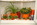 Blumenhaus innen Gefäße 1