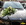 Autoschmuck 1