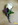Anstecker Herren 2