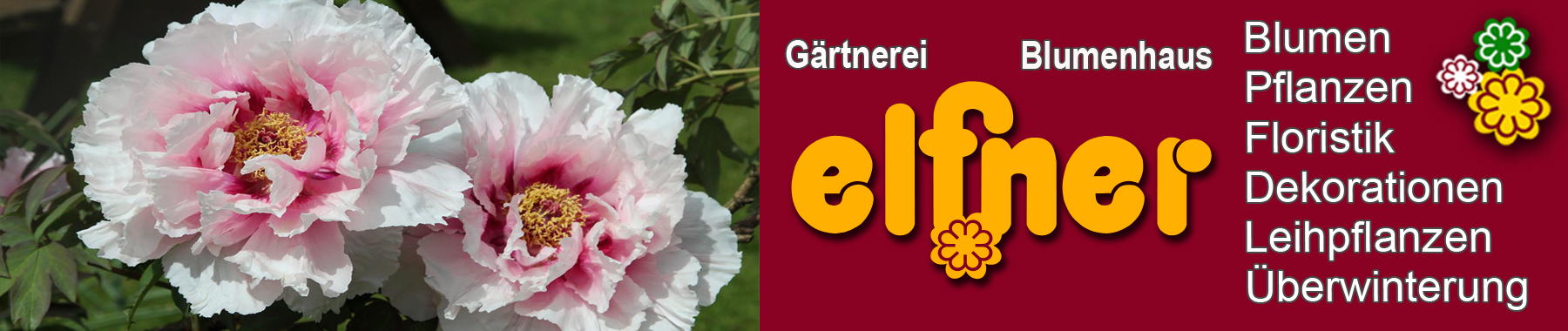 Banner Blumen Elfner