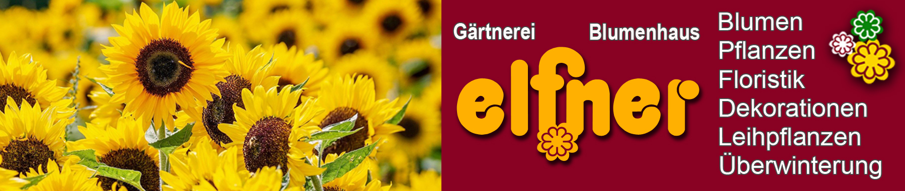 Bild von der Webseite von Blumen Elfner GbR